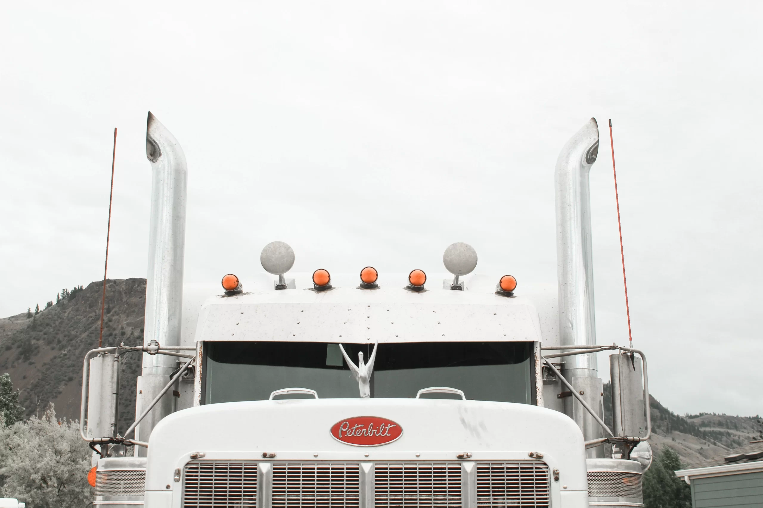 white truck