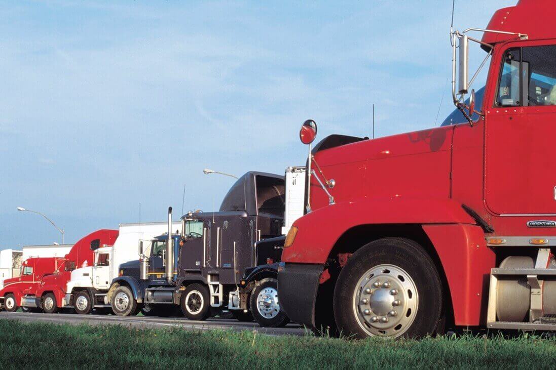 row of parked semi trucks